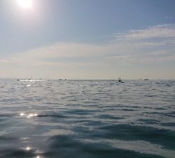 100均も釣れる(笑)