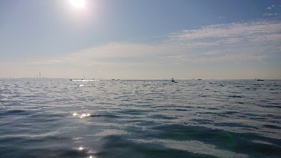 100均も釣れる(笑)