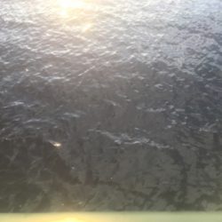 期日前投票を済ませてから