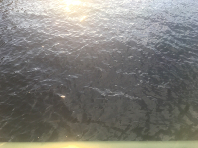 期日前投票を済ませてから