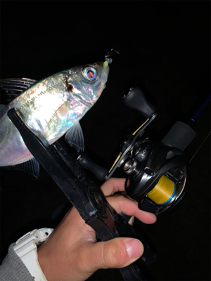 ベイトアジングの道⑩後一投…