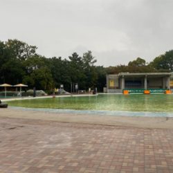 服部緑地　プールトラウト　管釣り