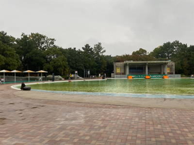 服部緑地　プールトラウト　管釣り