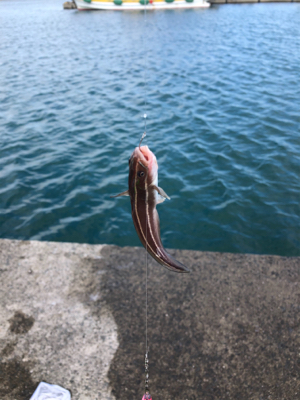 いつもよりも風が強い