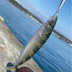 夜〜朝マズメ県北釣り
