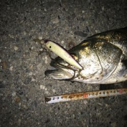 やっときてくれた！