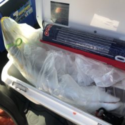 今年の目標達成!!!