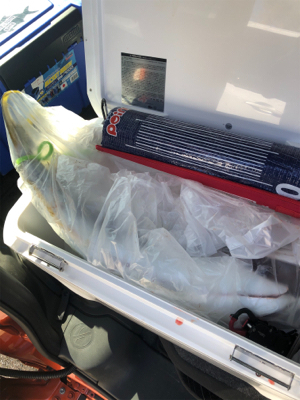 今年の目標達成!!!