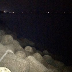 イカ時々タコ＼(^o^)／