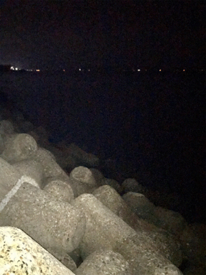 イカ時々タコ＼(^o^)／