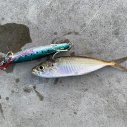 小物ワーム釣り