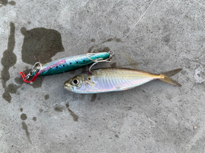 小物ワーム釣り