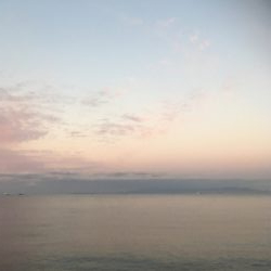 それぞれポロポロと