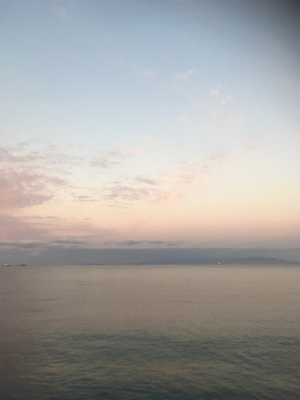 それぞれポロポロと