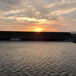 今日も風当たりが強かった⁉︎