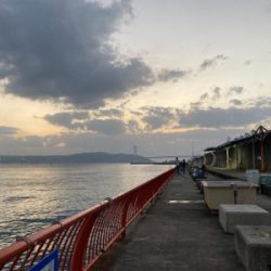 平磯 秋の鯛祭り♪ 2020