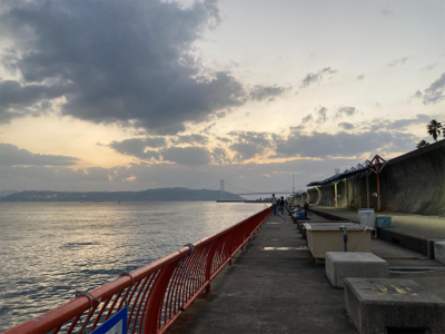 平磯 秋の鯛祭り♪ 2020