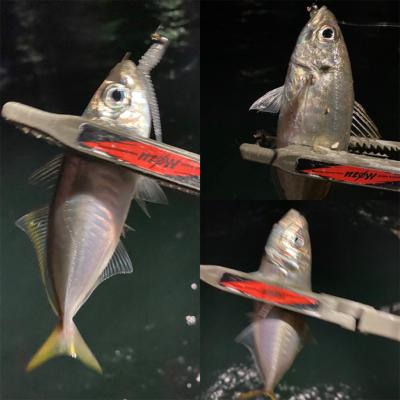 関門は豆アジ祭り