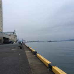 ウキ釣りでタチウオ