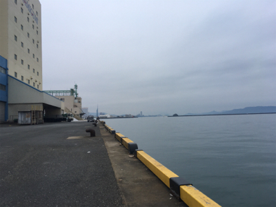 ウキ釣りでタチウオ