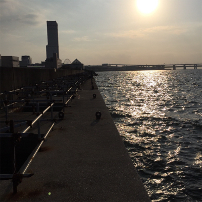 サビキで4目達成。