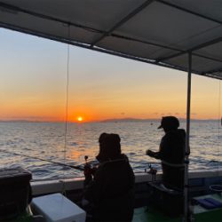 明石でタコ狙い