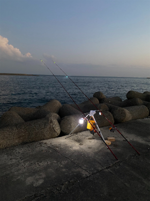 3週連続、深日港へカレイ釣り