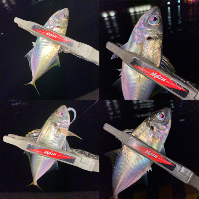 良型狙いが、豆狩りに