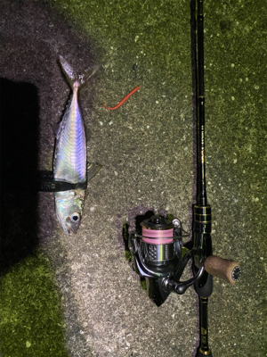 その時釣れる魚を釣る