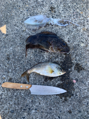 夜から翌日の昼釣行