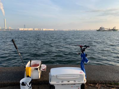 南港の波止グレ好調〜