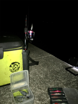 ヒイカ調査、木材港にて(^^)