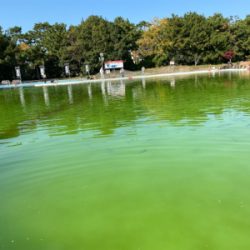 トラウト　半袖レベルの暑さ