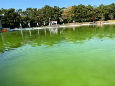 トラウト　半袖レベルの暑さ
