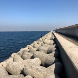 初めての大阪釣行