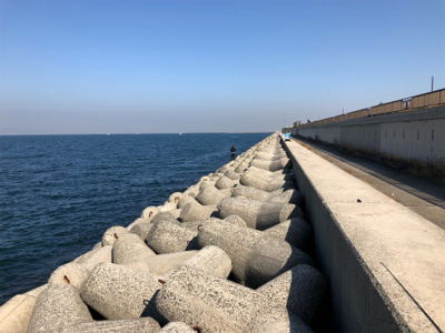 初めての大阪釣行