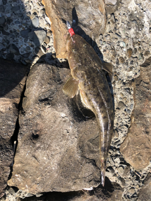 有田川隊ハロウィンパーティー