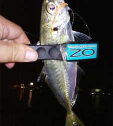 仕事帰りにちょこっと癒されに行きました