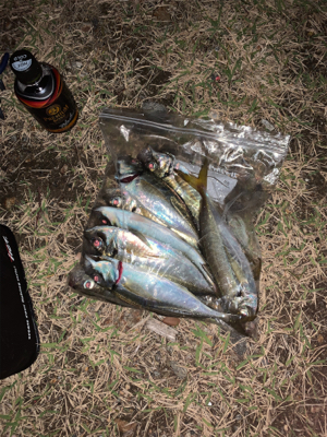 終業後、アジング修行。