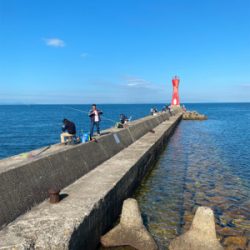 カレイ、カワハギ釣り