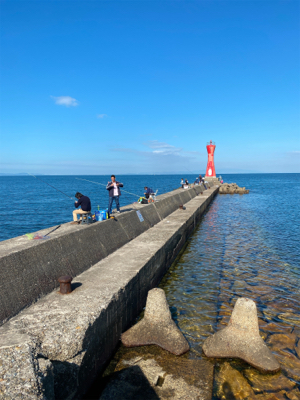 カレイ、カワハギ釣り