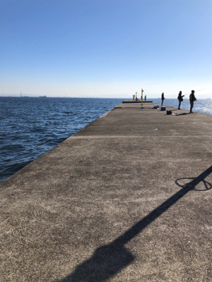 メジロとサゴシ ！