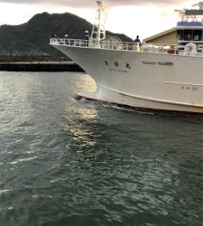 アジングモーニング