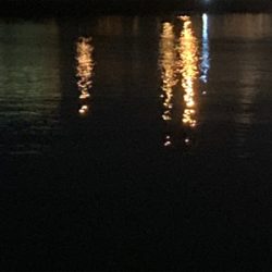 今宵のアジはグッドサイズ(^^)