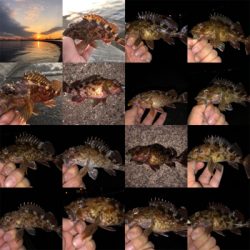 活性が低い時は・・・