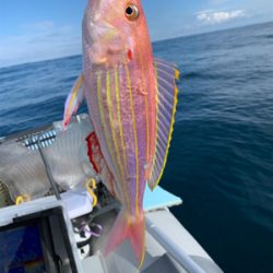 久しぶりの日本海へアマダイ狙い