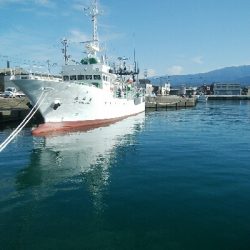 サビキで、小アジ14匹!アイゴ1匹!