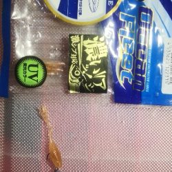 アジング練習  225  鱗付け作戦 Revo ALX THETA 1000S