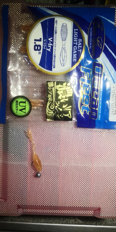 アジング練習  225  鱗付け作戦 Revo ALX THETA 1000S