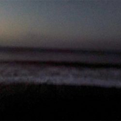 シーバスくん！